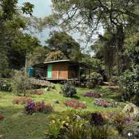 Botanic Brews and Earthy Escapes