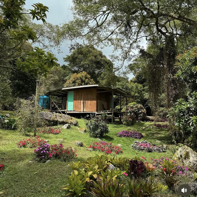 Botanic Brews and Earthy Escapes