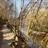 Brock Bottom River