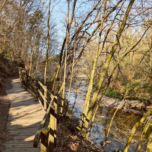 Brock Bottom River
