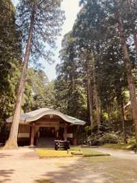 ⛩️ 絕景寺廟大挑戰！三德山三佛寺⚠️ 還有谷川天狗堂豆腐咖啡！