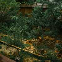Ryokan Yamahoshi เรียวกัง ยามะโฮชิ เชียงใหม่
