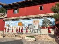 🕌 大召寺 Dazhao Temple – Hohhot’s Oldest, Grandest, and Most Revered Temple