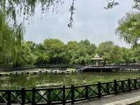 Nanhu Park ☀️ 🌺 