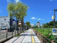 Akita City: A Charming Escape in Northern Japan! 🍂🐕🍶