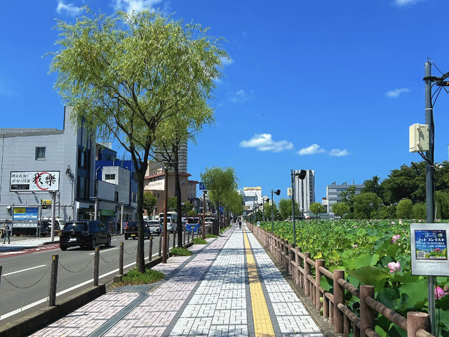Akita City: A Charming Escape in Northern Japan! 🍂🐕🍶
