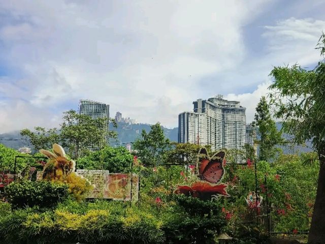 🦋【Butterfly Wonderland Genting】