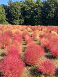 📣🇯🇵日本大阪必去景點（七）萬博紀念公園
