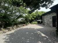 Cafe Forest J