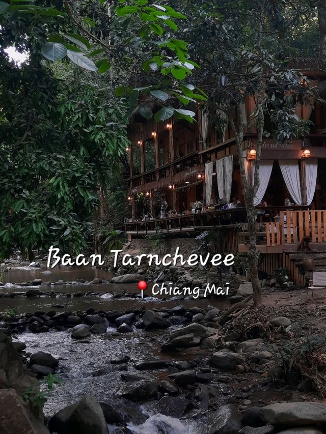 📍บ้านธารชีวี (Baan Tarnchevee) @เชียงดาว