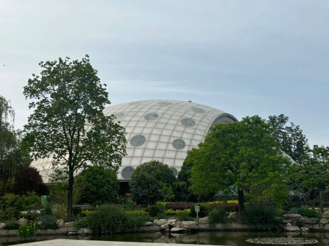 Expo Garden
