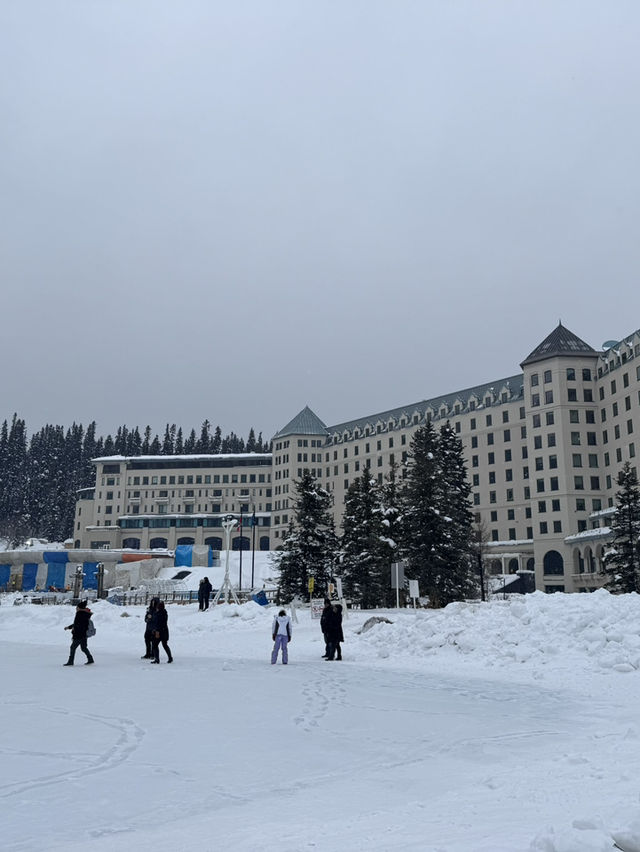 무더위를 이겨내기! 여름에 다시보는 겨울의 BANFF 🏔️