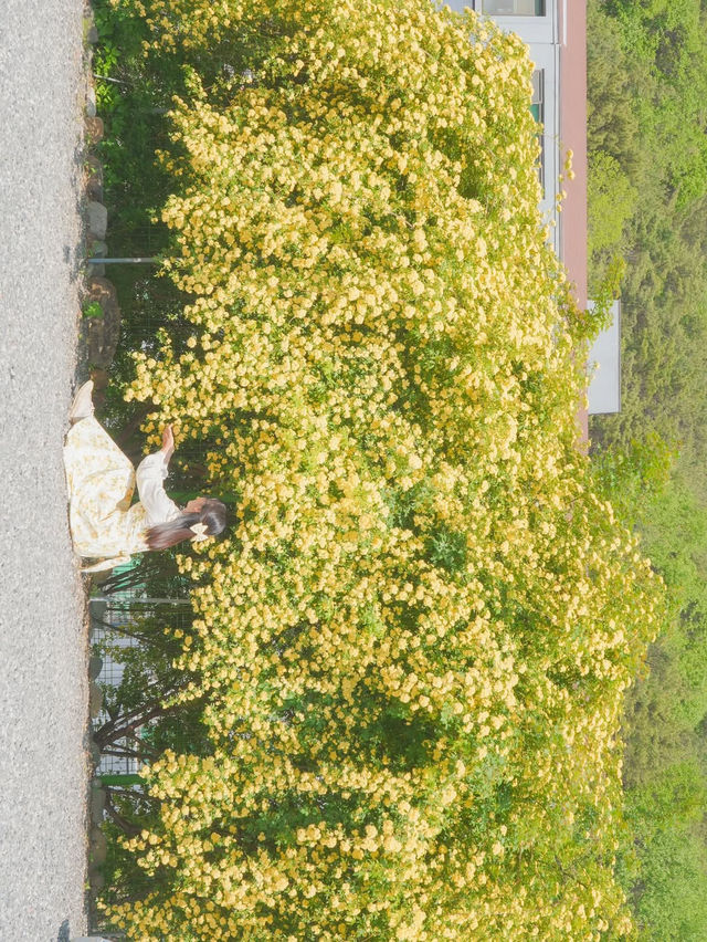 피드로도 기록해보는 창원의 노란빛 순간들💛