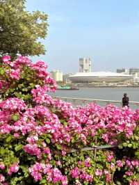 Monet Garden in the City | 20-Minute Park Effect in Central Shanghai 🌿🌸