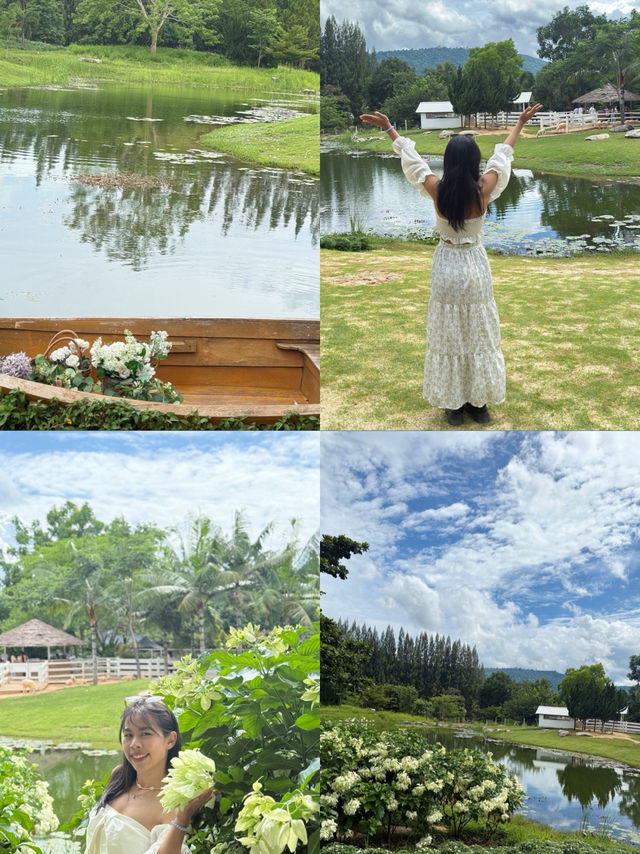คาเฟ่ ฟิลยุโรป  BUCoLIC Khaoyai