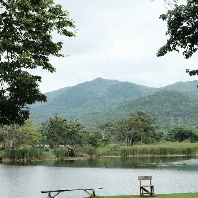 🌅 Lakeview Cafe – วิวเขื่อนสุดชิลล์ในกาญจนบุรี