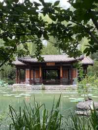 Beijing – Hidden Lotus Wonderland Just Outside the 2nd Ring Road 🌿🌸