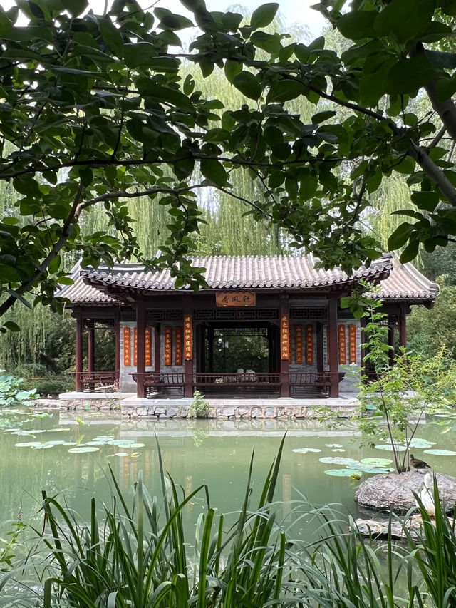 Beijing – Hidden Lotus Wonderland Just Outside the 2nd Ring Road 🌿🌸
