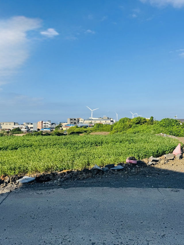 A Peaceful, Untouched Coastal Escape