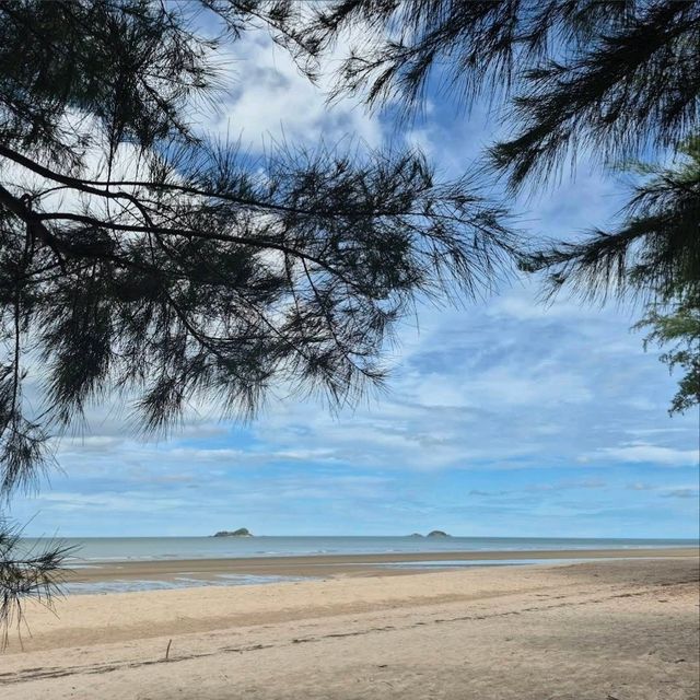 ชายหาด สวนสนประดิพัทธ์  หัวหิน