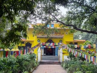 Nepal's Rajakiya Buddha Vihar: A Hidden Sanctuary for Quiet Reflection in Lumbini