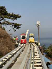 Mipo Sky Capsule – รถไฟฟ้าปุ๊กปิ๊กสุดน่ารัก 🚂