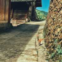“Gateway to Longtang’s Timeless Miao Life”