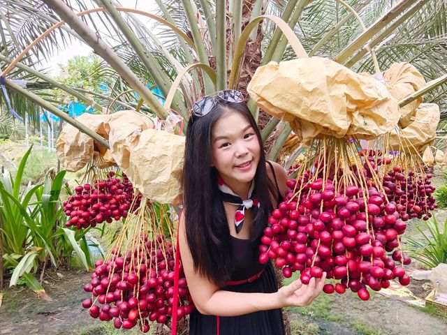  บ้านสวนอินทผาลัมแม่กลอง 