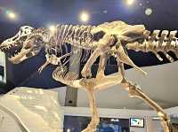 Mind Museum: Science Made Fun