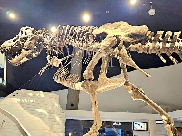 Mind Museum: Science Made Fun