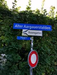 Bern's Rose Garden: A Floral Paradise Where Blooms and Beauty Intertwine