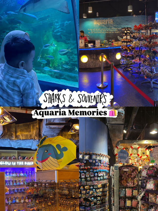 Sharks & Souvenirs — Aquaria Memories 🛍️🦈