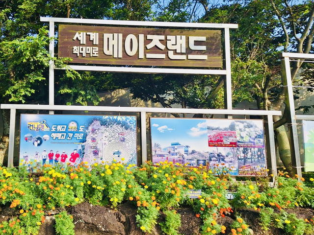 A Thrilling Challenge in Jeju's Green Labyrinths