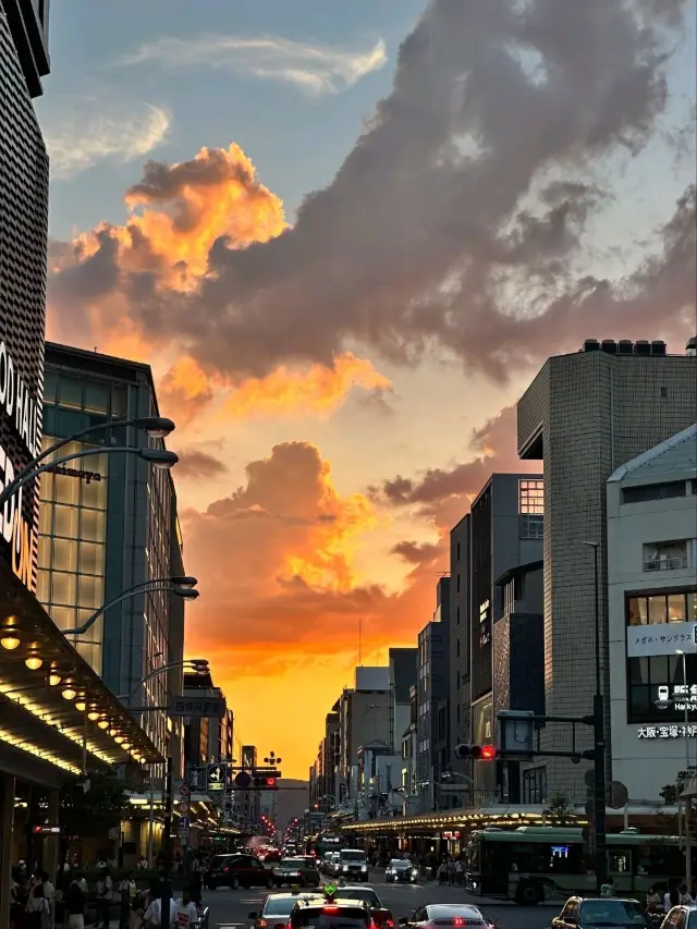 일본 교토 길거리가 모두 다 포토존