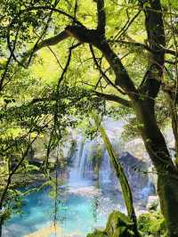 Refreshing Dip in Nature's Pristine Waters (Seasonal)