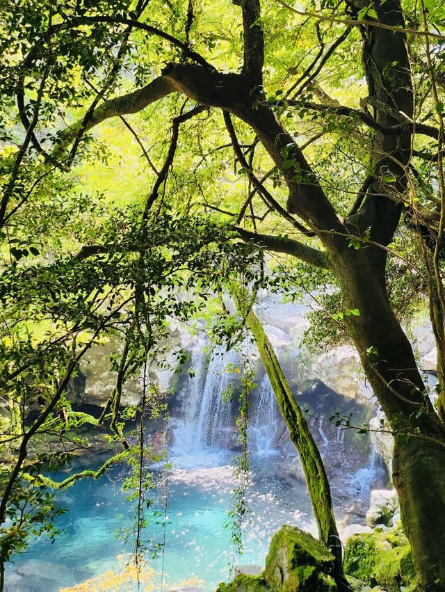 Refreshing Dip in Nature's Pristine Waters (Seasonal)