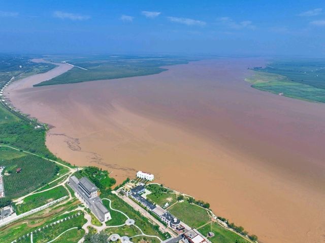 “Golden Currents: Tongguan Yellow River Wetland Sanctuary”