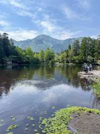 朝霧に包まれる幻想の湖、金鱗湖で心洗われるひととき🌫️