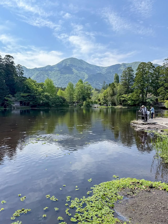 朝霧に包まれる幻想の湖、金鱗湖で心洗われるひととき🌫️ 朝霧に包まれる幻想の湖、金鱗湖で心洗われるひととき🌫️