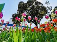 When in Yokohama Park🌷