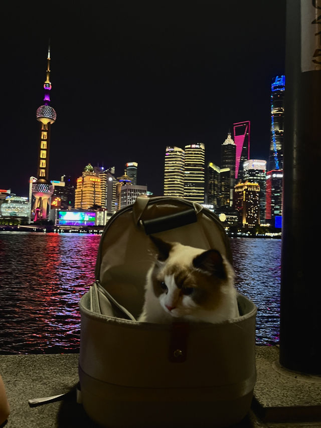 🇨🇳Shanghai city walk ⭐️
