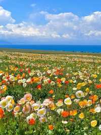 Where Sky Meets Water: The Beauty of Sayram Lake