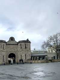 Timeless Beauty- Fremantle Street 