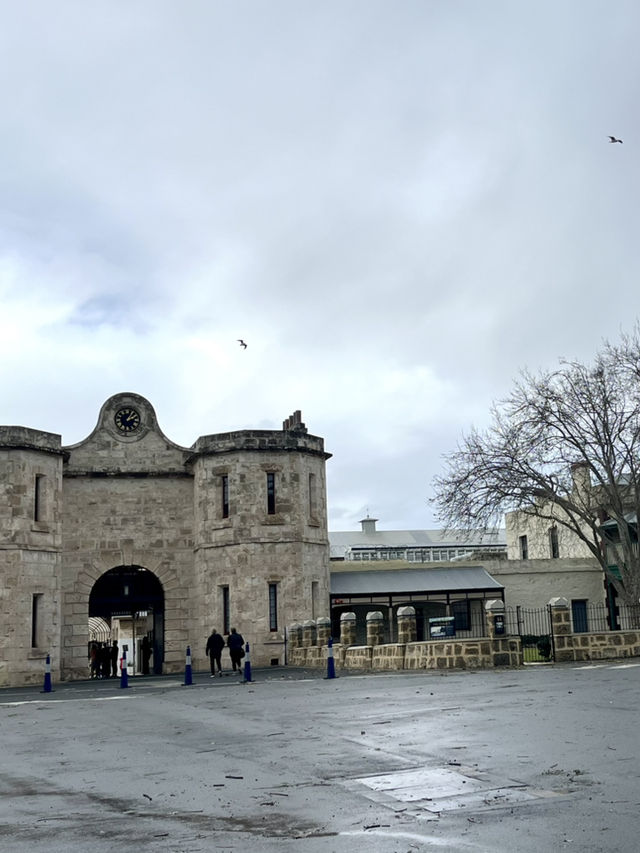 Timeless Beauty- Fremantle Street 