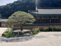 大邱🇰🇷｜大邱秘境古剎！符仁寺千年歷史與神秘四頭烏龜你看過嗎？🐢✨