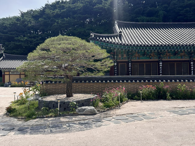 大邱🇰🇷｜大邱秘境古剎！符仁寺千年歷史與神秘四頭烏龜你看過嗎？🐢✨
