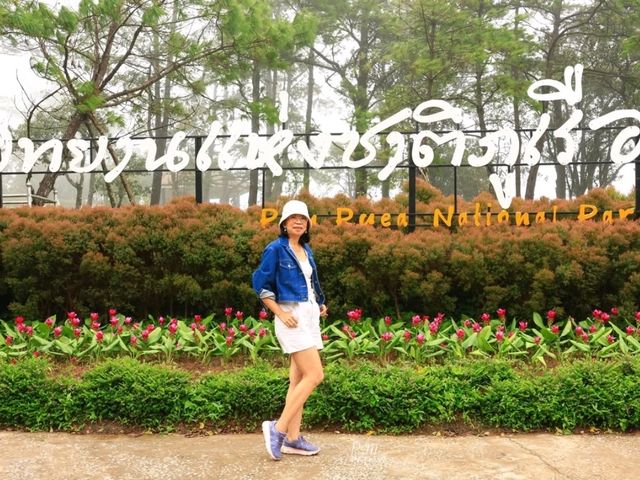 รับลมหนาว อุทยานแห่งชาติภูเรือ เลย