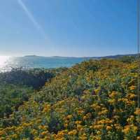 Half Moon Bay