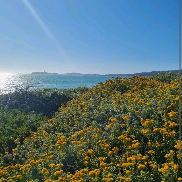 Half Moon Bay