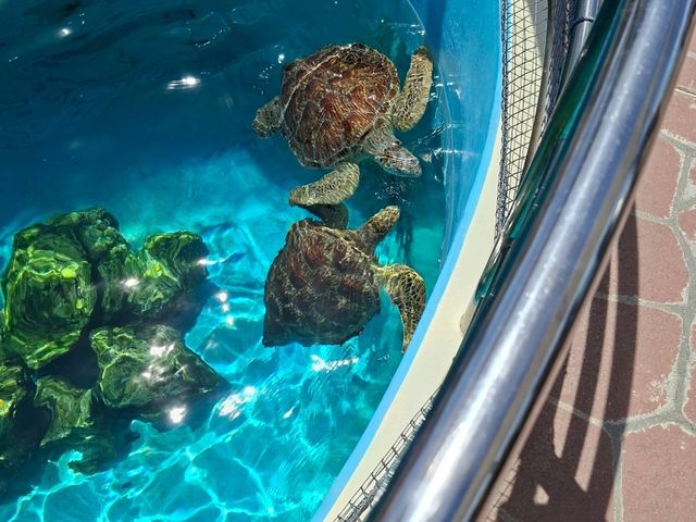海洋博公園